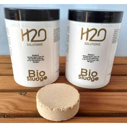 Bio Sludge Batteri anaerobici per la denitrificazione e la riduzione dei fanghi