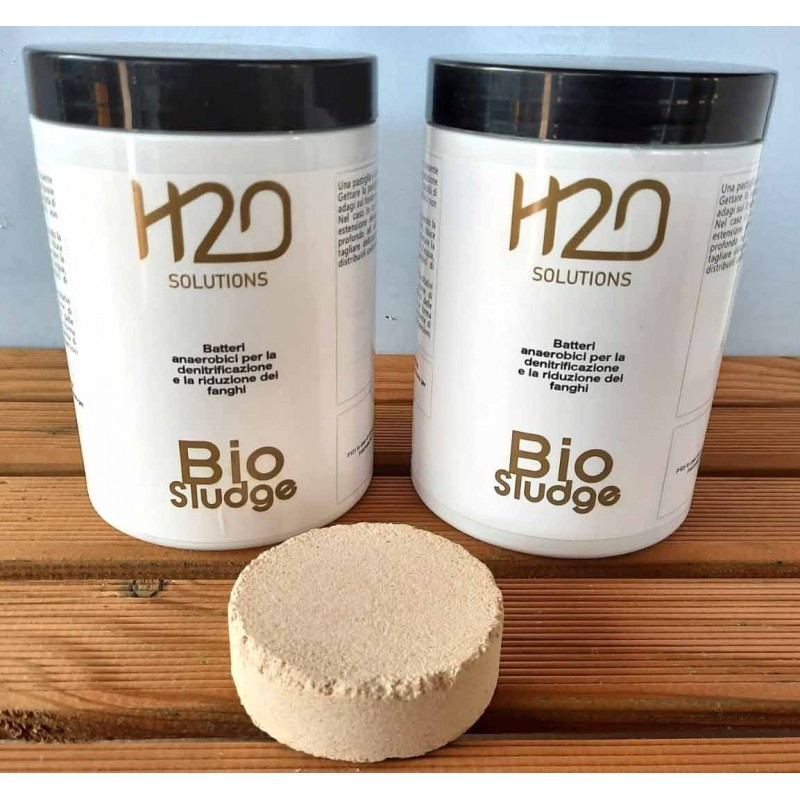 Bio Sludge Batteri anaerobici per la denitrificazione e la riduzione dei fanghi
