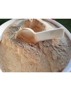 H2O Solutions Prodotti Liquidi per laghetti